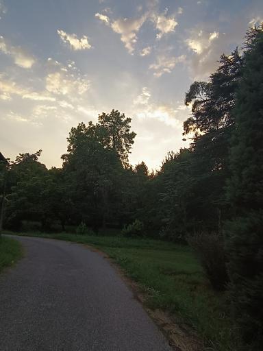 عکس نوشهر