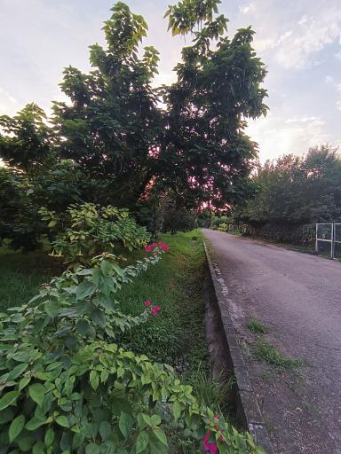 عکس نوشهر