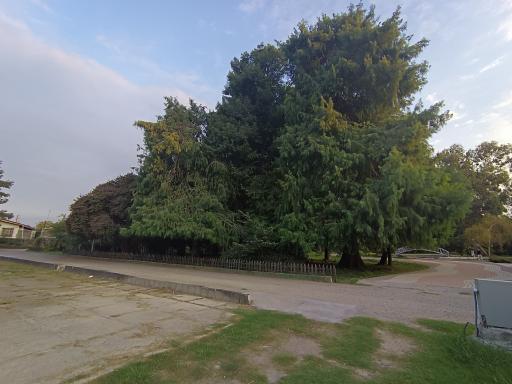 عکس نوشهر