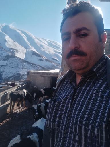 عکس دامداری عابدینی