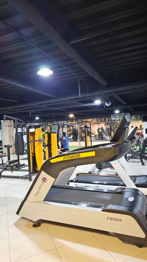 عکس باشگاه بدنسازی آرتیا