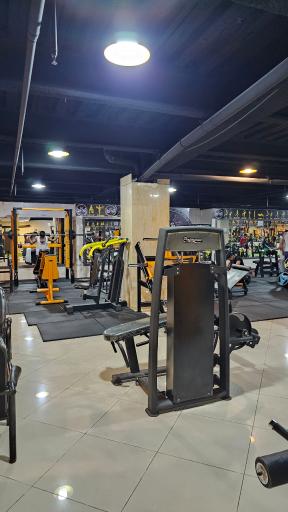 عکس باشگاه بدنسازی آرتیا