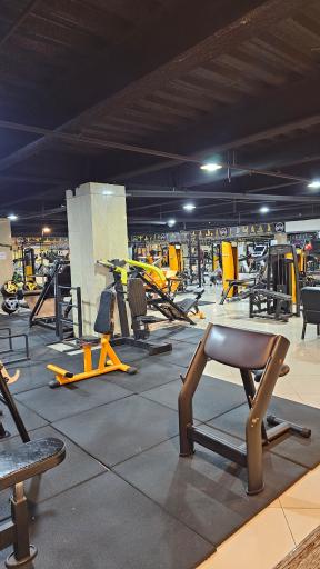 عکس باشگاه بدنسازی آرتیا