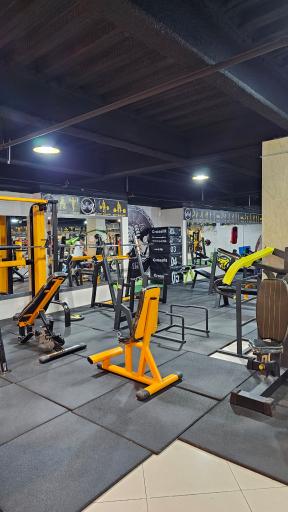 عکس باشگاه بدنسازی آرتیا