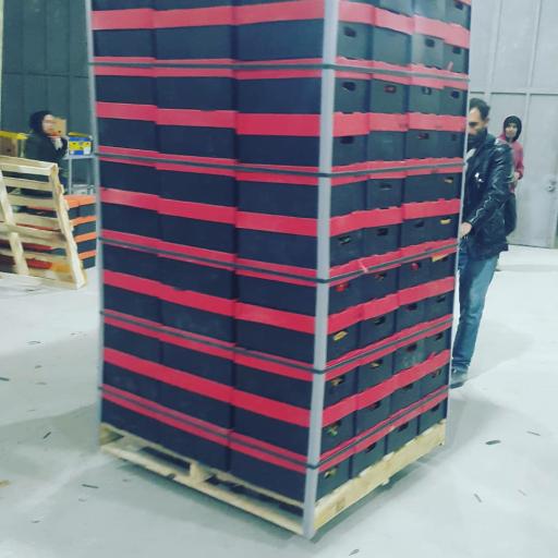 عکس صنایع کارتن سازی به پک