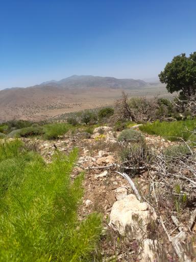 عکس آباده طشک