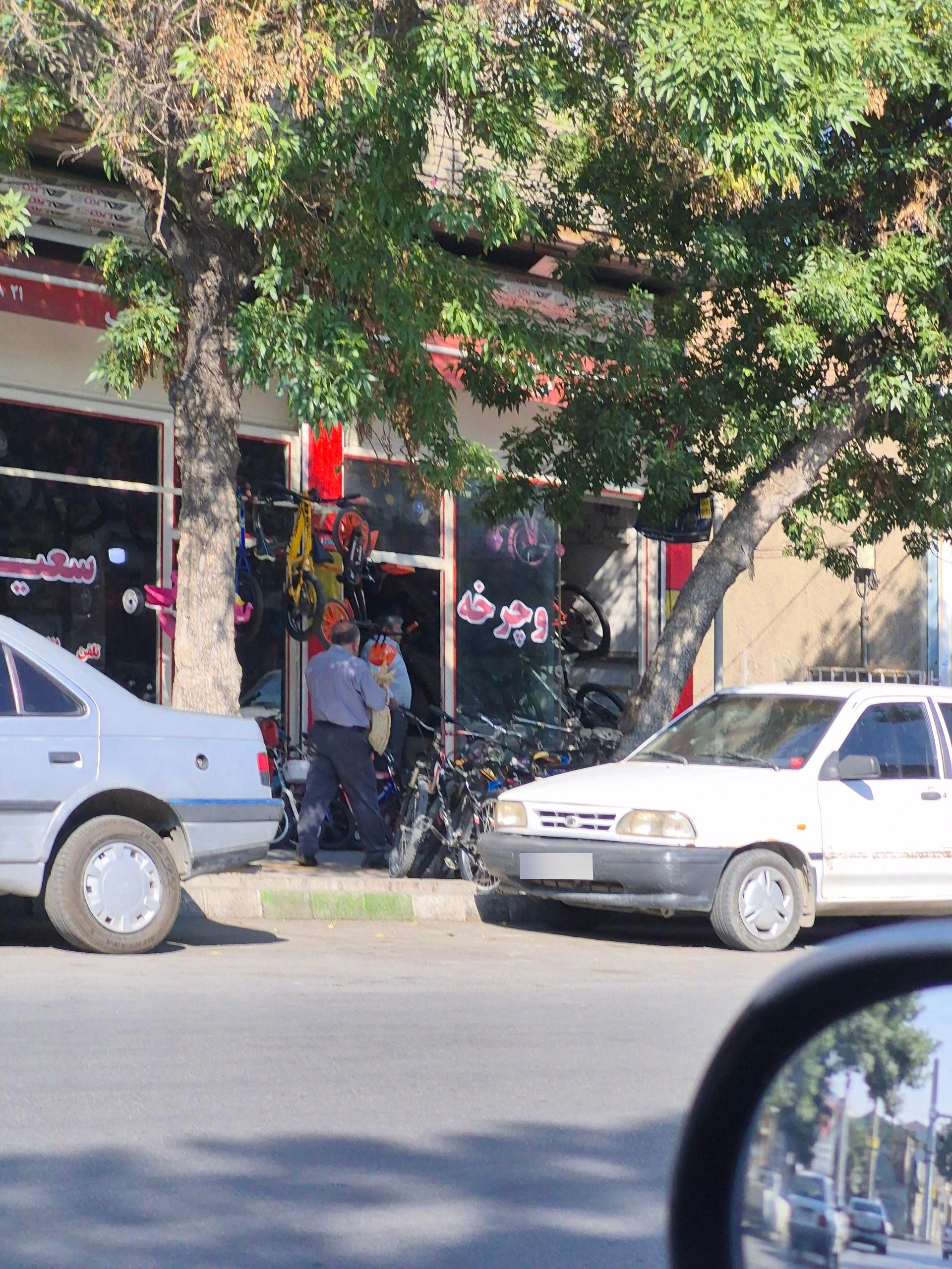 عکس دوچرخه سعید