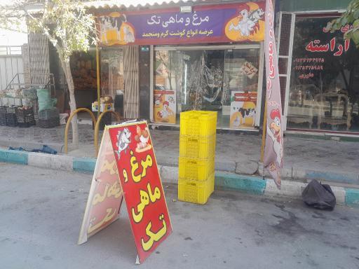 عکس مرغ و ماهی تک