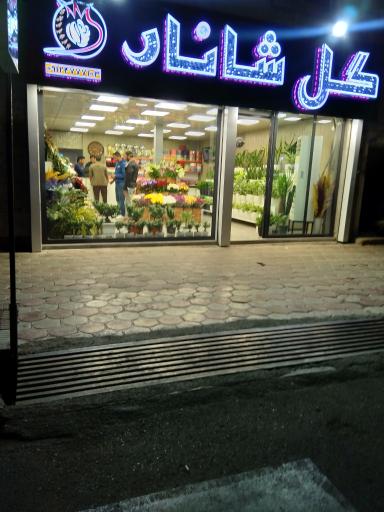 شانار