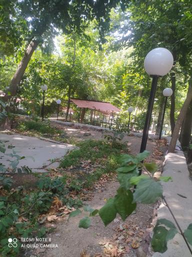 عکس اردوگاه شهید باهنر