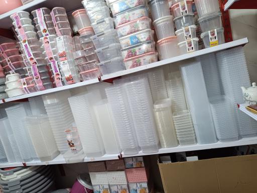 عکس پلاسکوی خانم ماه