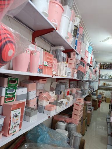 عکس پلاسکوی خانم ماه