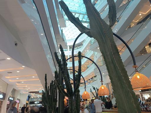 عکس آرش مال