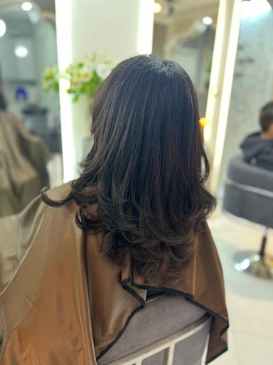 عکس سالن زیبایی رومیرا