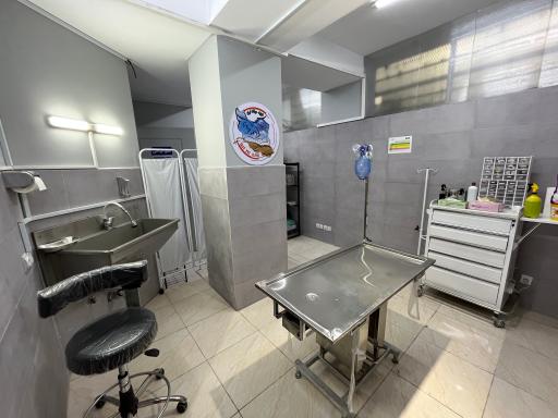 عکس کلینیک دامپزشکی ایران