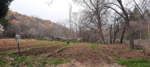 عکس نهالستان اداره کل منابع طبیعی