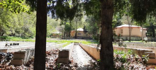 عکس نهالستان اداره کل منابع طبیعی