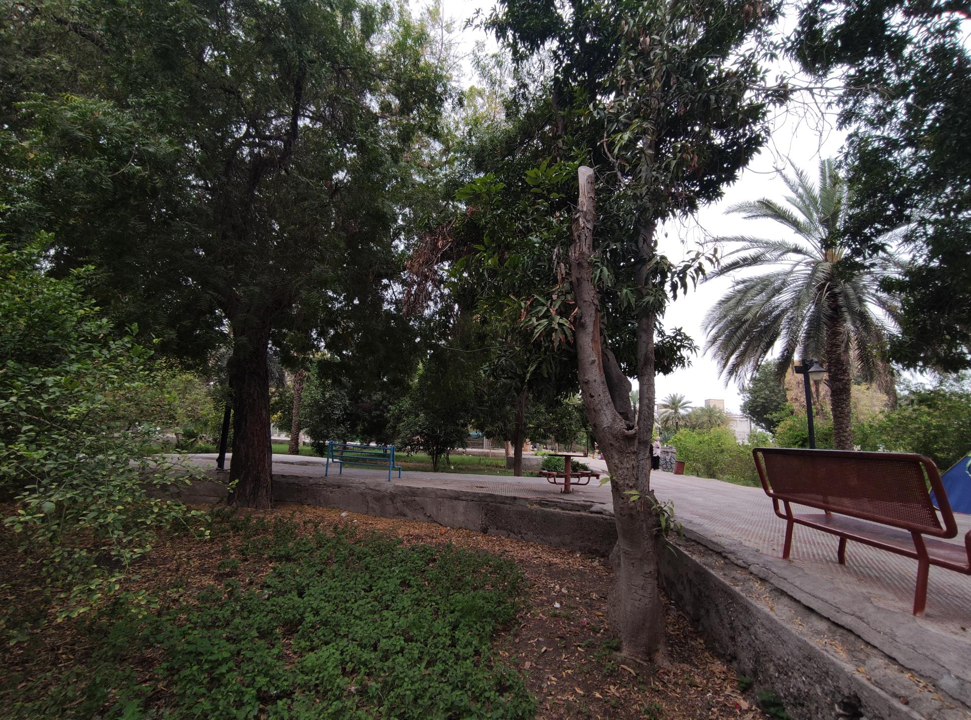 عکس پارک ملت