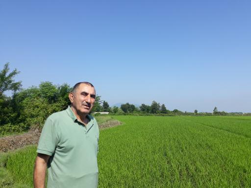 عکس تمیجان