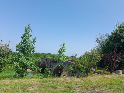تمیجان