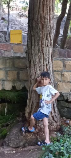 عکس پارک میخک