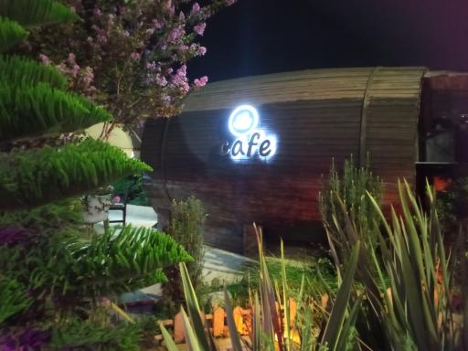 عکس کافه رستوران دیاکو