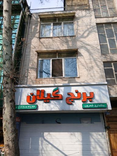 عکس برنج گیلان
