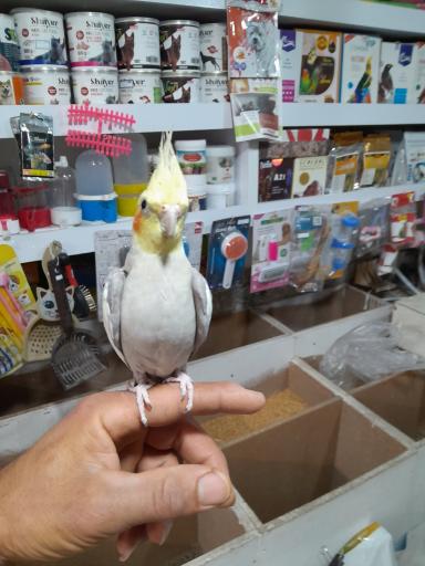 عکس پت‌شاپ‌غلامی 