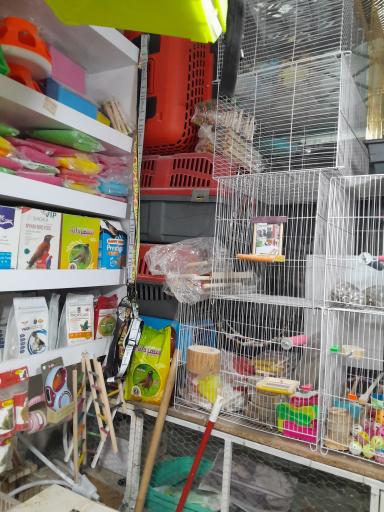 عکس پت‌شاپ‌غلامی 