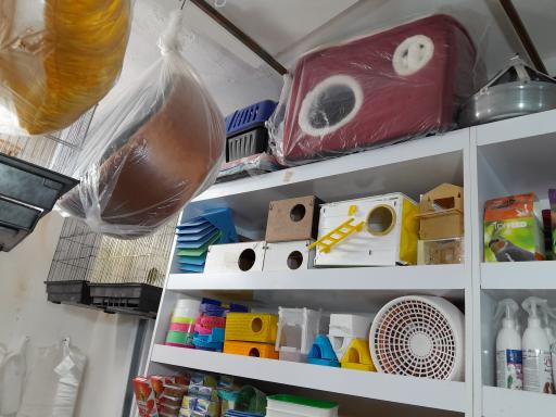 عکس پت‌شاپ‌غلامی 