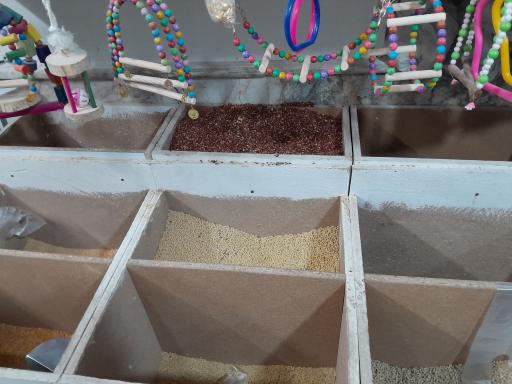 عکس پت‌شاپ‌غلامی 