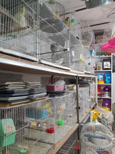 عکس پت‌شاپ‌غلامی 