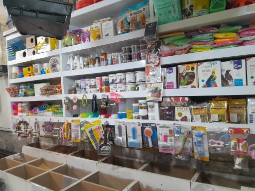 عکس پت‌شاپ‌غلامی 