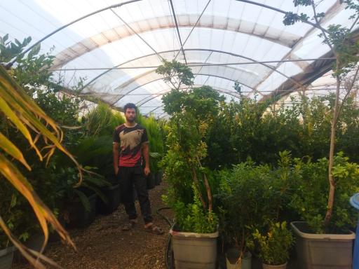 عکس تولیدی گل و نهال بهشت 