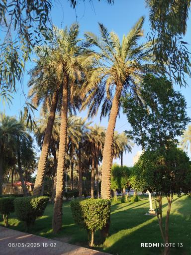 عکس پارک هجرت