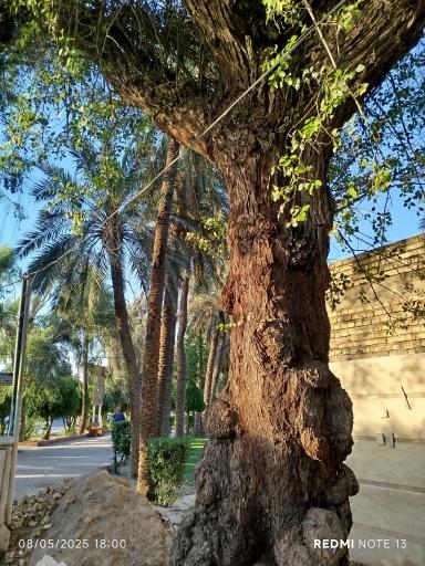 عکس پارک هجرت