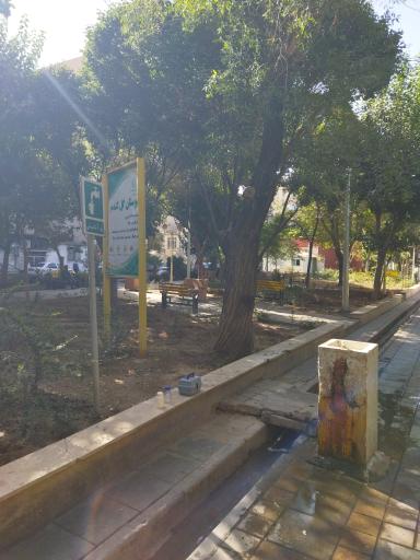 عکس بوستان گل گندم