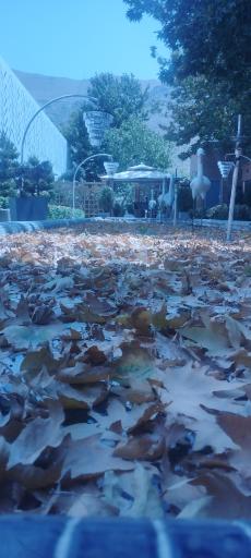 عکس باغ تالار  کوهساران