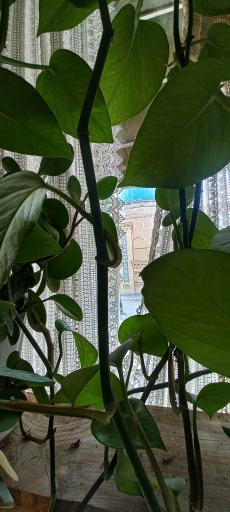 عکس کافه و رستوران کندوک