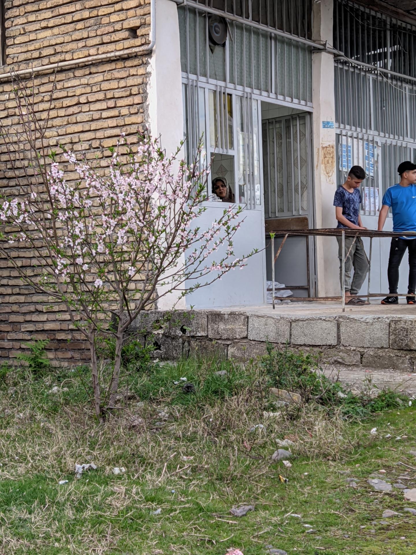 عکس نانوایی بربری