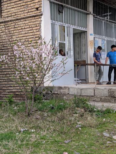 عکس نانوایی بربری