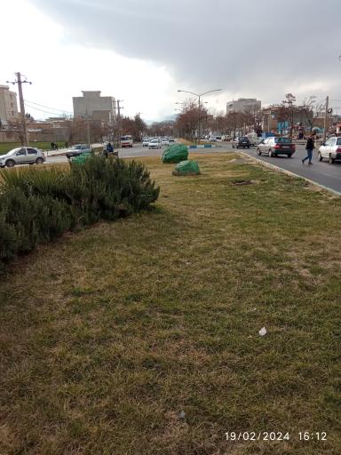 عکس میدان تهنیت