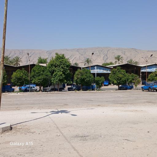 عکس میدان میوه و تره بار اصلی 