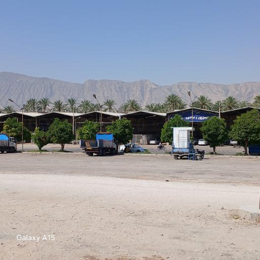 عکس میدان میوه و تره بار اصلی 