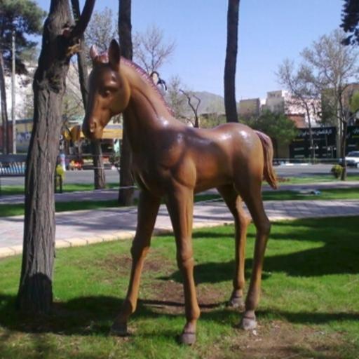 عکس میدان استقلال (اسبی)