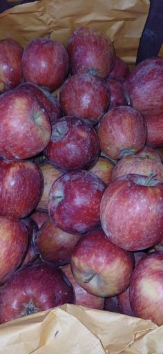 عکس میوه فروشی فیروزه