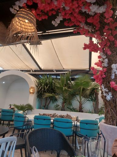 عکس بیرون بر ژست