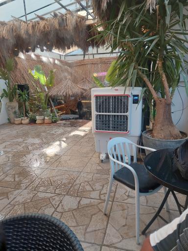 عکس بیرون بر ژست