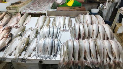 عکس بازار روز بابلسر