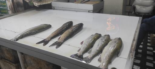 عکس بازار روز بابلسر